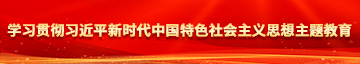 美女超比黄片学习贯彻习近平新时代中国特色社会主义思想主题教育